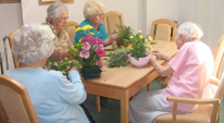 Brambles Care Home